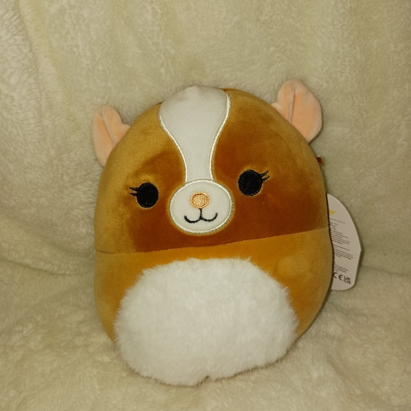 Squishmallows Toys Garrett The Guinea Pig Squishmallow Poshmark